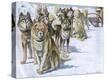 Stretched Canvas Print