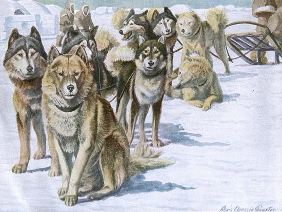 Art Print, , large