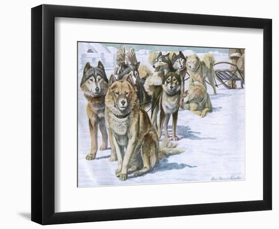Art Print, , large