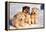 Alaskan Husky Dogs X Three Young Pups Sitting in Snow-null-Framed Premier Image Canvas