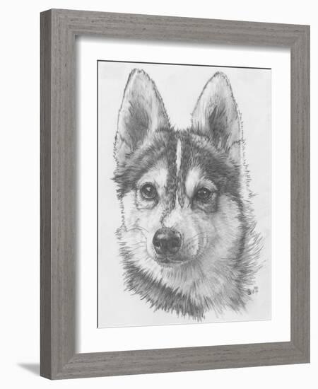 Alaskan Klee Kai-Barbara Keith-Framed Giclee Print