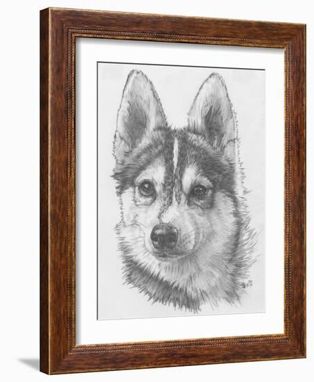 Alaskan Klee Kai-Barbara Keith-Framed Giclee Print