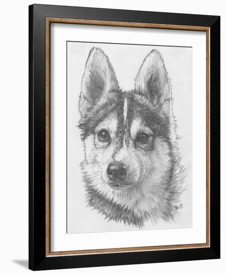 Alaskan Klee Kai-Barbara Keith-Framed Giclee Print