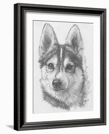 Alaskan Klee Kai-Barbara Keith-Framed Giclee Print