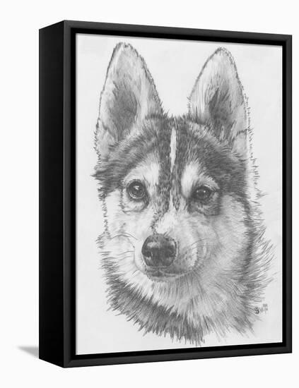 Alaskan Klee Kai-Barbara Keith-Framed Premier Image Canvas