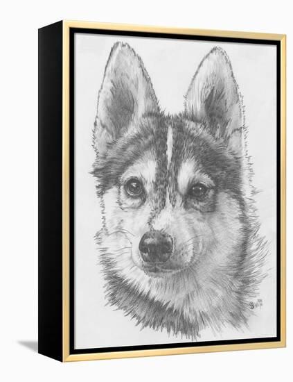 Alaskan Klee Kai-Barbara Keith-Framed Premier Image Canvas