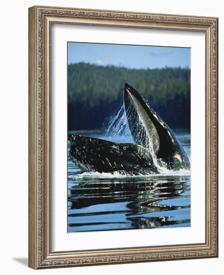 Alaskan Log Cache with Mt. Mckinley, Denali National Park, Alaska, USA-Hugh Rose-Framed Photographic Print