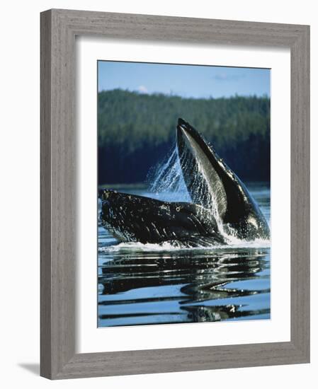 Alaskan Log Cache with Mt. Mckinley, Denali National Park, Alaska, USA-Hugh Rose-Framed Photographic Print