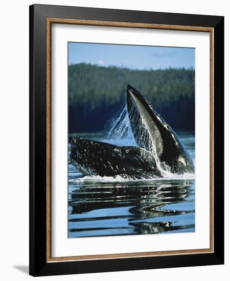 Alaskan Log Cache with Mt. Mckinley, Denali National Park, Alaska, USA-Hugh Rose-Framed Photographic Print