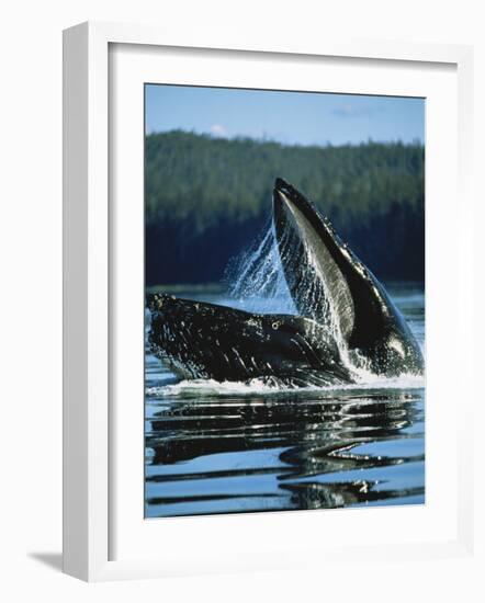 Alaskan Log Cache with Mt. Mckinley, Denali National Park, Alaska, USA-Hugh Rose-Framed Photographic Print