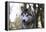 Alaskan Malamute 04-Bob Langrish-Framed Premier Image Canvas