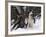 Alaskan Malamute Dog in Snow, USA-Lynn M. Stone-Framed Photographic Print