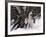 Alaskan Malamute Dog in Snow, USA-Lynn M. Stone-Framed Photographic Print