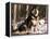 Alaskan Malamute Dog in Woodland, USA-Lynn M. Stone-Framed Premier Image Canvas