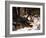 Alaskan Malamute Dog in Woodland, USA-Lynn M. Stone-Framed Photographic Print