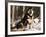 Alaskan Malamute Dog in Woodland, USA-Lynn M. Stone-Framed Photographic Print