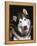 Alaskan Malamute Dog Portrait, Illinois, USA-Lynn M. Stone-Framed Premier Image Canvas