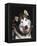 Alaskan Malamute Dog Portrait, Illinois, USA-Lynn M. Stone-Framed Premier Image Canvas