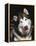 Alaskan Malamute Dog Portrait, Illinois, USA-Lynn M. Stone-Framed Premier Image Canvas