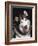 Alaskan Malamute Dog Portrait, Illinois, USA-Lynn M. Stone-Framed Photographic Print