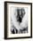 Alaskan Native-Edward S^ Curtis-Framed Giclee Print