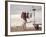 Alaskan Woman Hanging Her Laundry to Dry Along the Edge of an Ice Sheet-Ralph Crane-Framed Photographic Print