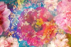 A Dreamy Romantic Floral Montage of a Pon Pon Dahlia with Roses, Photography, Many Layer Work-Alaya Gadeh-Photographic Print