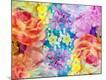 Premium Photographic Print