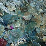 Gentle Blue Frosted Leafes in the Forest-Alaya Gadeh-Photographic Print
