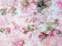 Composing with Coloured Blossoms-Alaya Gadeh-Photographic Print