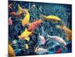 Premium Photographic Print