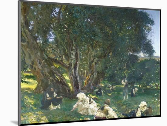 Albanian Olive Gatherers, 1909 (Oil on Canvas)-John Singer Sargent-Mounted Giclee Print