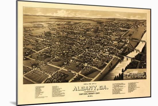 Albany, Georgia - Panoramic Map-Lantern Press-Mounted Art Print