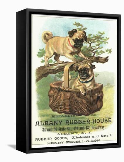 Albany Rubber House Advertisement-null-Framed Premier Image Canvas