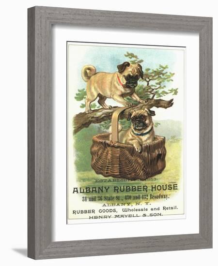 Albany Rubber House Advertisement-null-Framed Giclee Print