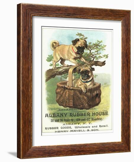 Albany Rubber House Advertisement-null-Framed Giclee Print