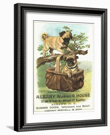 Albany Rubber House Advertisement-null-Framed Giclee Print