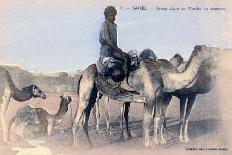 Serere, the Sahel, Senegal, 20th Century-Albaret-Framed Premier Image Canvas