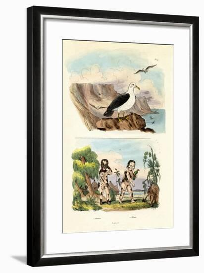 Albatros, 1833-39-null-Framed Giclee Print