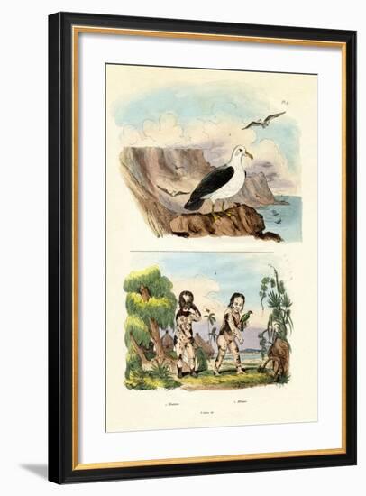 Albatros, 1833-39-null-Framed Giclee Print