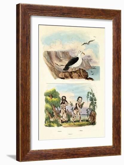 Albatros, 1833-39-null-Framed Giclee Print