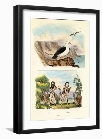 Albatros, 1833-39-null-Framed Giclee Print