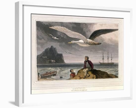 Albatross, Pub. London 1810-Thomas & William Daniell-Framed Giclee Print