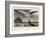 Albatross, Pub. London 1810-Thomas & William Daniell-Framed Giclee Print