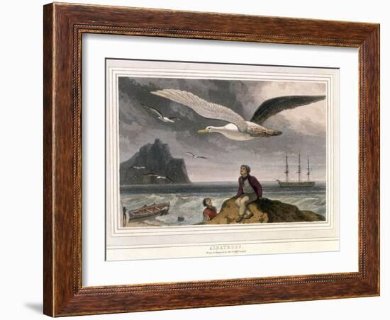 Albatross, Pub. London 1810-Thomas & William Daniell-Framed Giclee Print