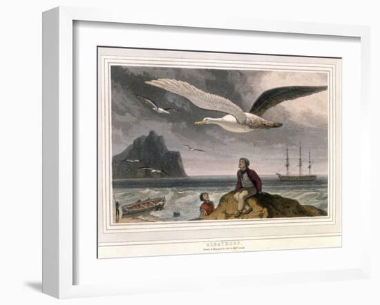 Albatross, Pub. London 1810-Thomas & William Daniell-Framed Giclee Print