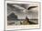 Albatross, Pub. London 1810-Thomas & William Daniell-Mounted Giclee Print