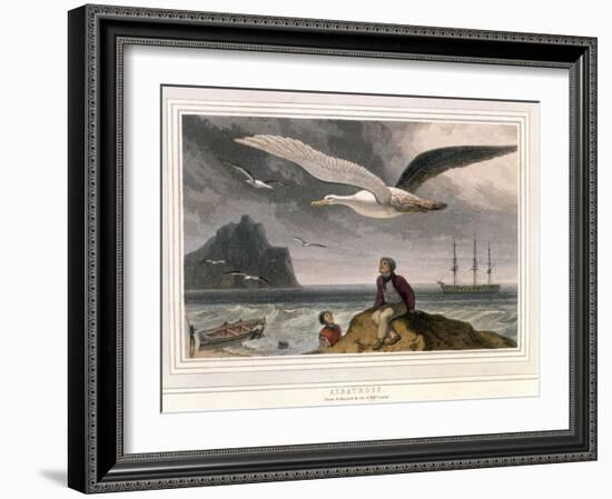 Albatross, Pub. London 1810-Thomas & William Daniell-Framed Giclee Print