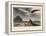 Albatross, Pub. London 1810-Thomas & William Daniell-Framed Premier Image Canvas