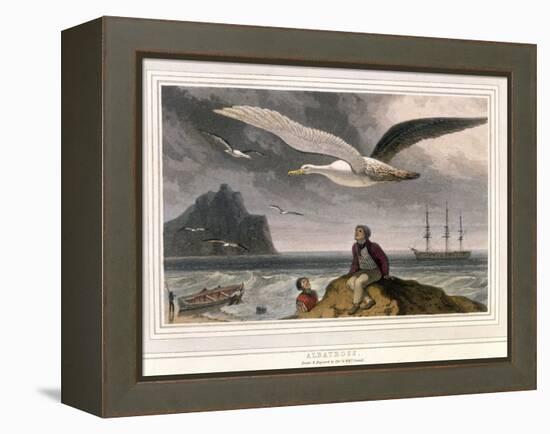 Albatross, Pub. London 1810-Thomas & William Daniell-Framed Premier Image Canvas